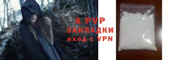 СК Белокуриха