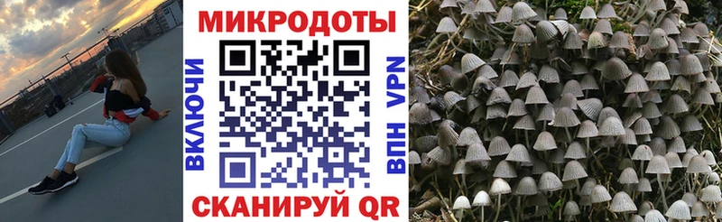 Псилоцибиновые грибы мухоморы купить сайты Кондрово